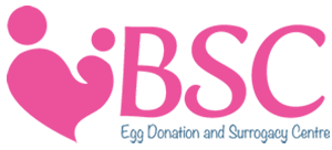 The British Surrogacy Centre The British Surrogacy Centre