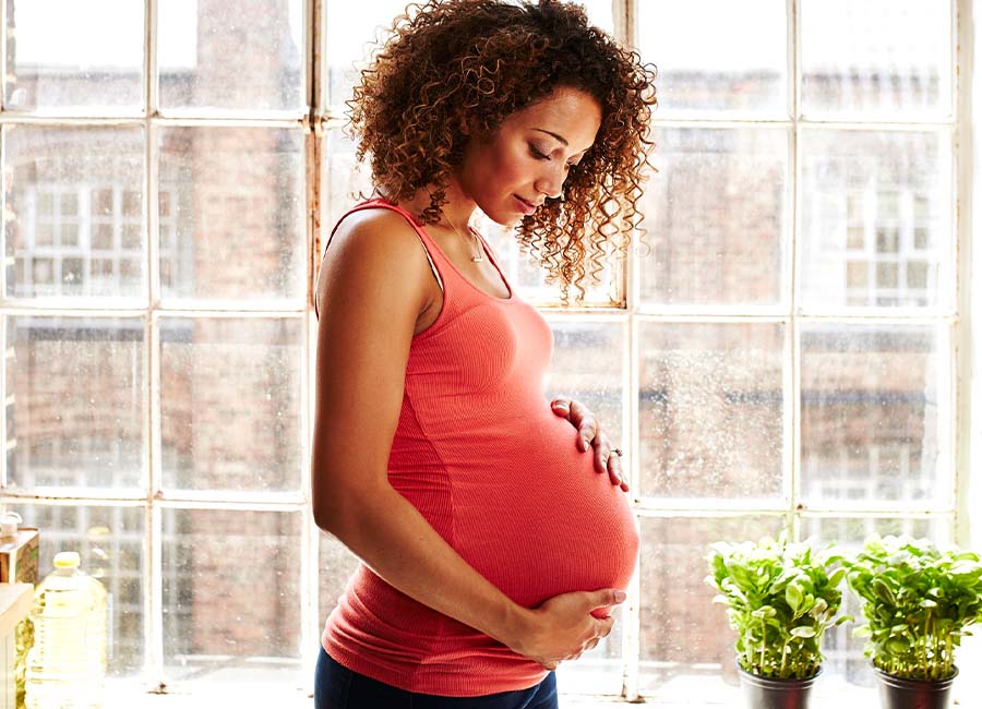 find a surrogate homepage find a surrogate